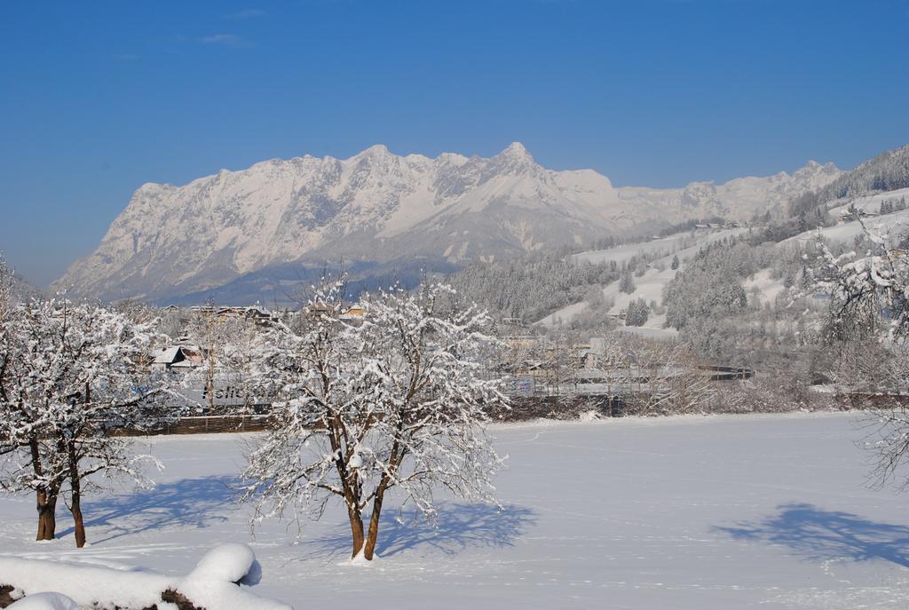 Familien-Bauernhof Neumoar Διαμέρισμα Sankt Johann im Pongau Εξωτερικό φωτογραφία